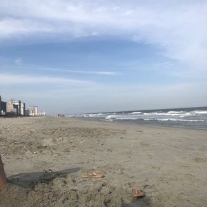 Meet your Posher, Rosalinda